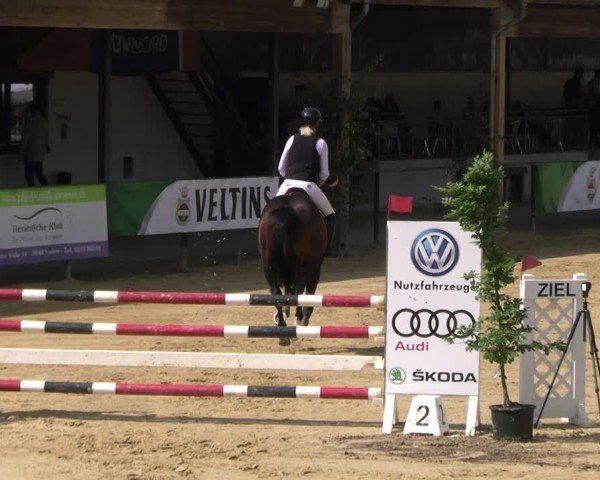 Reitturnier Hellefeld 2025