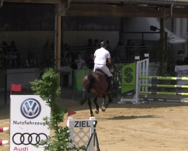 Reitturnier Hellefeld 2025