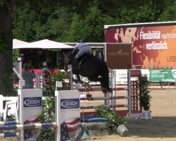 Reitturnier Hellefeld 2025