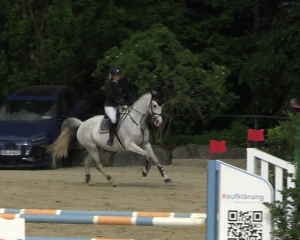 Reitturnier Hellefeld 2025