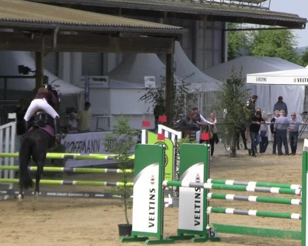 Reitturnier Hellefeld 2025