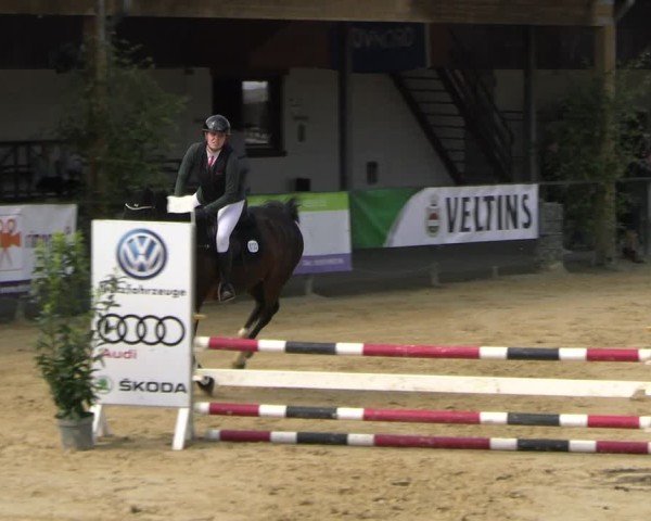 Reitturnier Hellefeld 2025