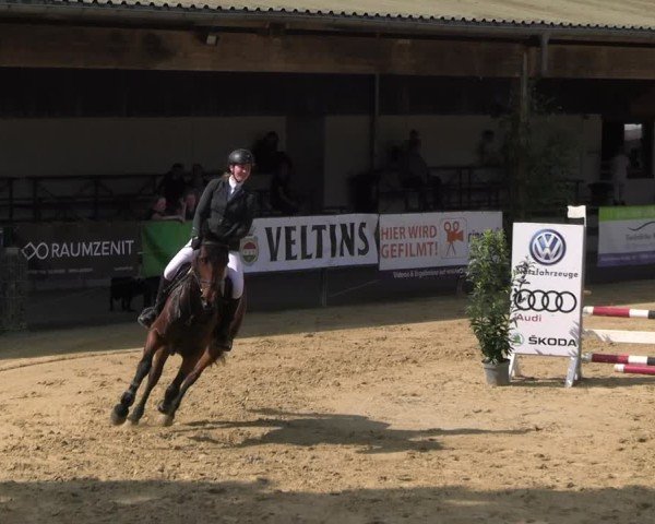 Reitturnier Hellefeld 2025