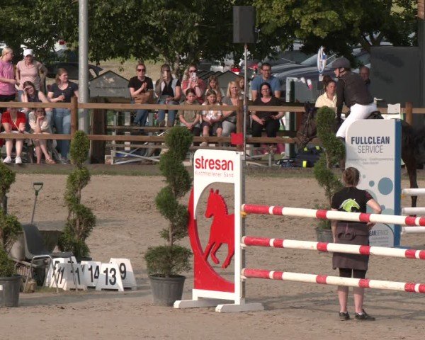 Reitturnier Kirchhellen/Stall Dieckmann 2025