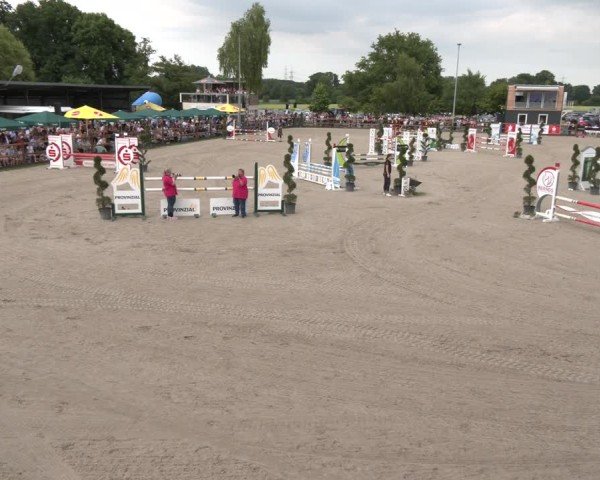 Reitturnier Kirchhellen/Stall Dieckmann 2025