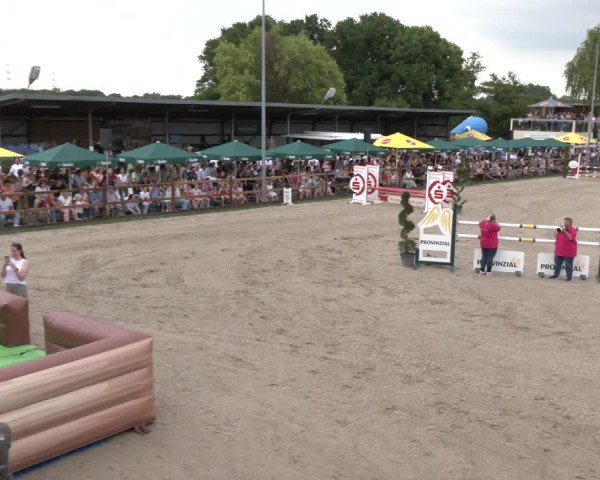 Reitturnier Kirchhellen/Stall Dieckmann 2025