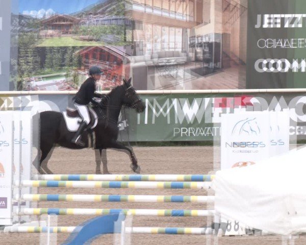 Reitturnier Lassee 2025