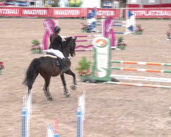 Reitturnier Lassee 2025