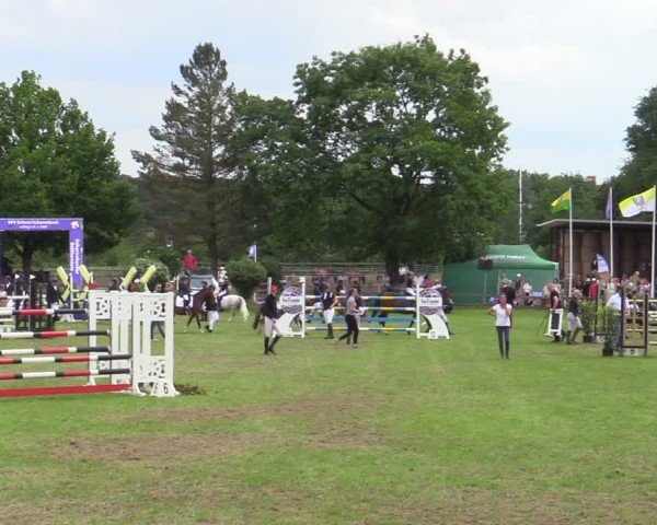 Reitturnier Scharnebeck 2025