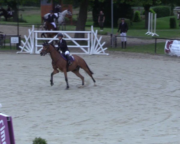 Reitturnier Hamm-Rhynern 2025