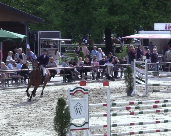 Reitturnier Hamm-Rhynern 2025