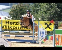 jumper Alpenprinz 2 (Haflinger, 2018, from Arjen-B)