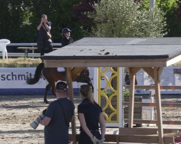 Reitturnier Bornheim-Widdig 2025