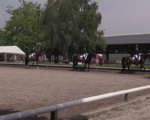Reitturnier Hamm-Rhynern 2025