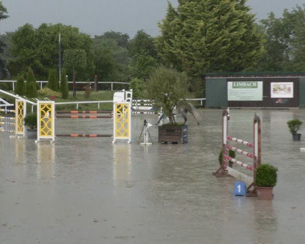 Reitturnier Bornheim-Widdig 2025