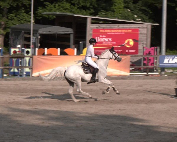 Reitturnier Klein Roscharden 2025