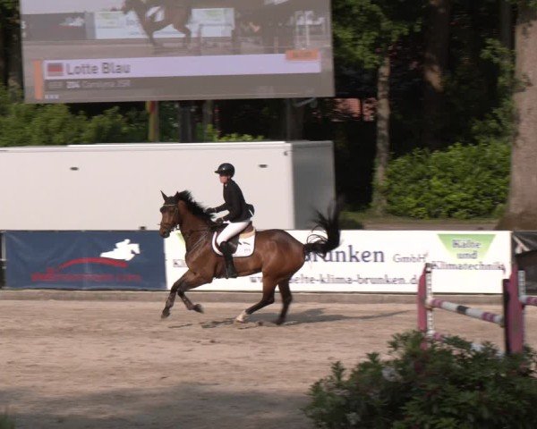 Reitturnier Klein Roscharden 2025