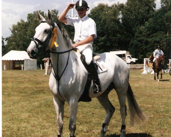 Springpferd Cortina 128 (Oldenburger, 1997, von Come On)