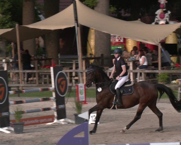 Reitturnier Klein Roscharden 2025