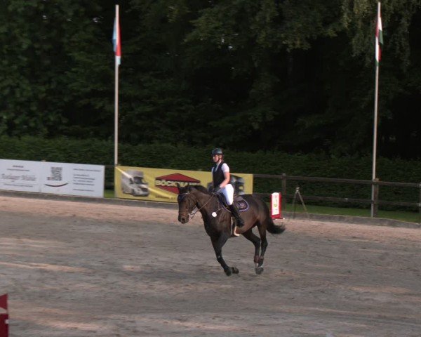 Reitturnier Klein Roscharden 2025