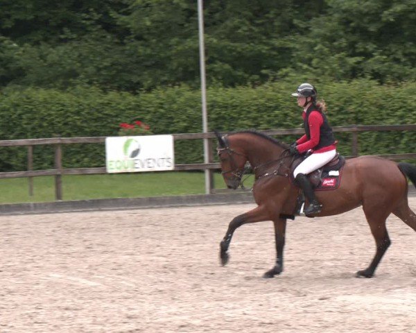 Reitturnier Klein Roscharden 2025