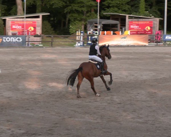 Reitturnier Klein Roscharden 2025