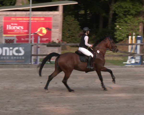 Reitturnier Klein Roscharden 2025