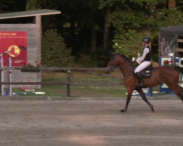 Reitturnier Klein Roscharden 2025