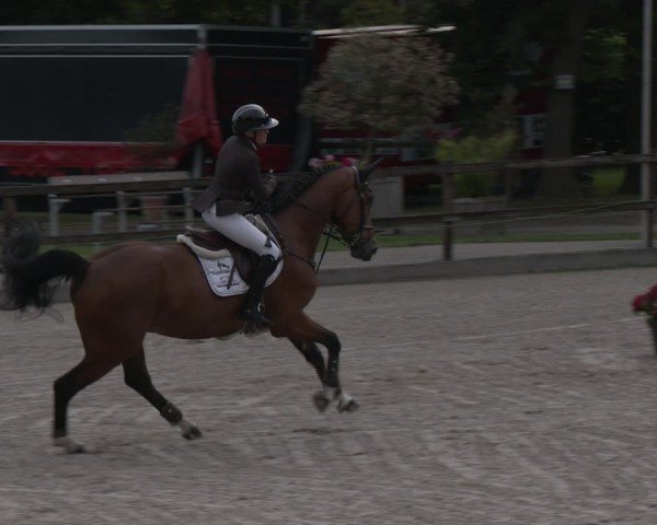 Reitturnier Klein Roscharden 2025