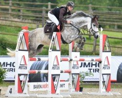 jumper Chacoon's lovely Calea (German Sport Horse, 2018, from Chacoon Blue)