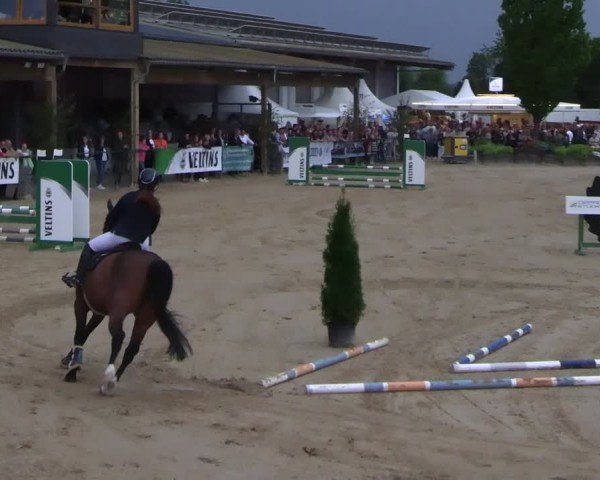 Reitturnier Hellefeld 2025