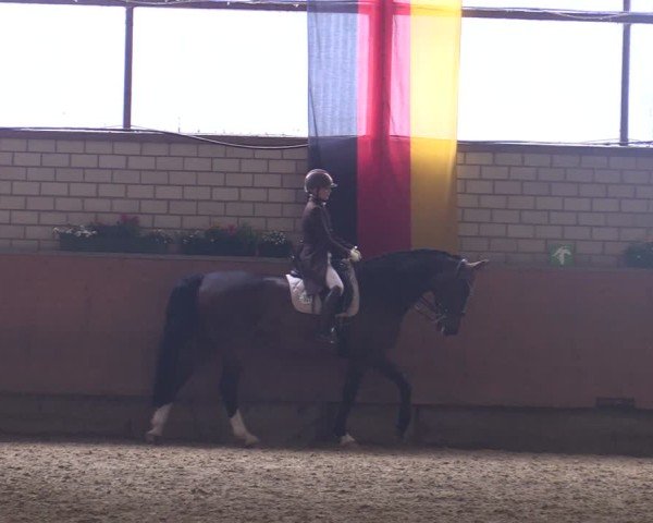 Reitturnier Hellefeld 2025
