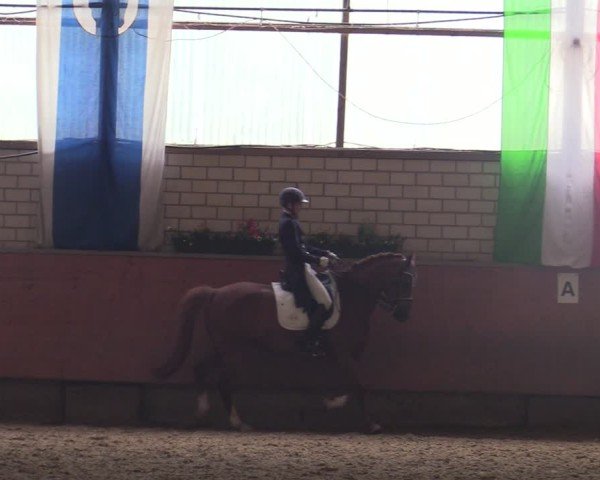 Reitturnier Hellefeld 2025