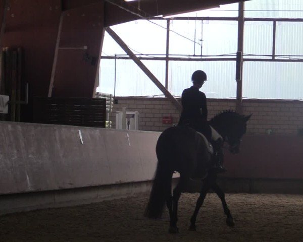 Reitturnier Hellefeld 2025