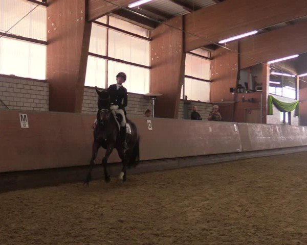 Reitturnier Hellefeld 2025