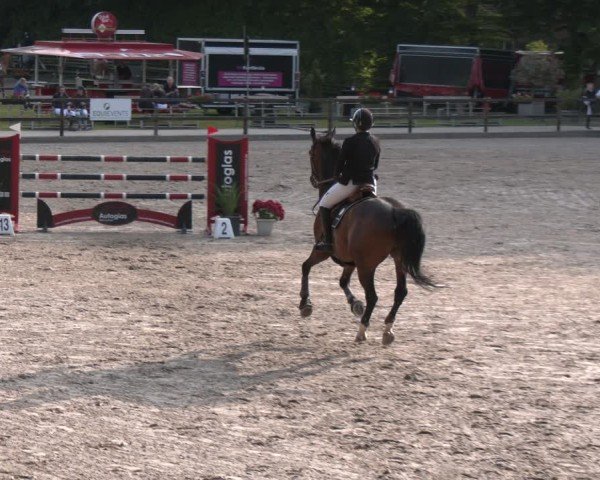 Reitturnier Klein Roscharden 2025