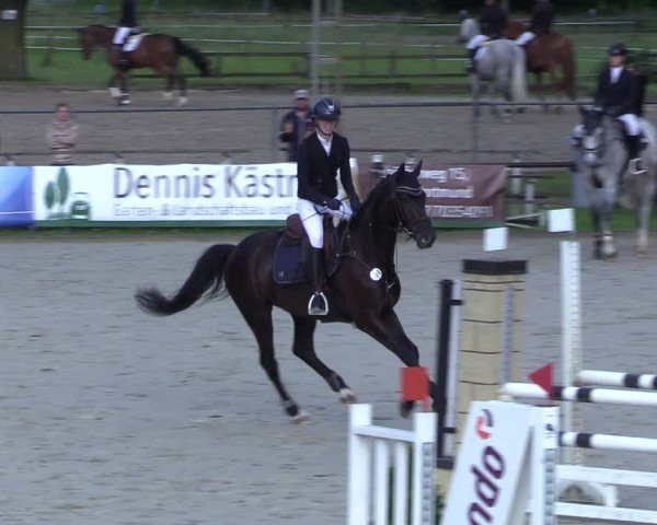 Reitturnier Hamm-Rhynern 2025