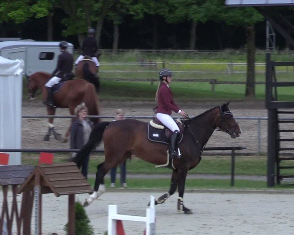 Reitturnier Hamm-Rhynern 2025