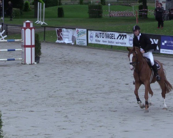 Reitturnier Hamm-Rhynern 2025