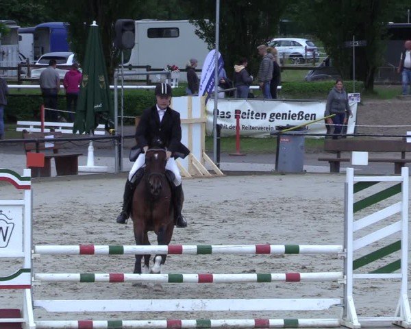 Reitturnier Hamm-Rhynern 2025