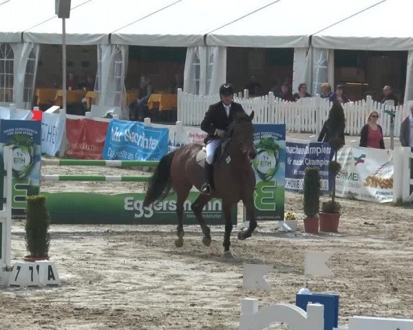 Lenklarer Reitertage 2014