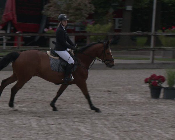 Reitturnier Klein Roscharden 2025