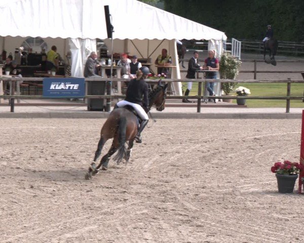 Reitturnier Klein Roscharden 2025