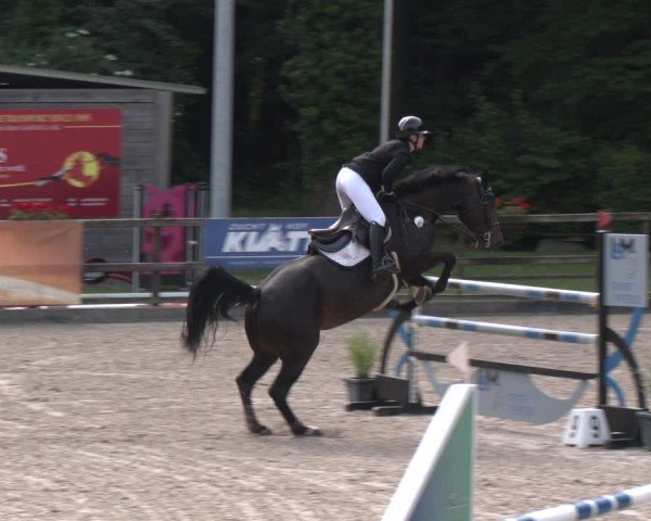 Reitturnier Klein Roscharden 2025