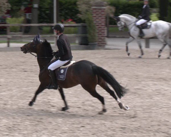 Reitturnier Klein Roscharden 2025