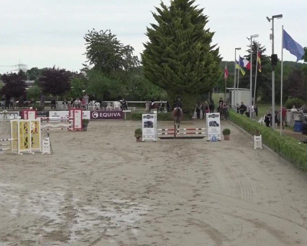 Reitturnier Bornheim-Widdig 2025