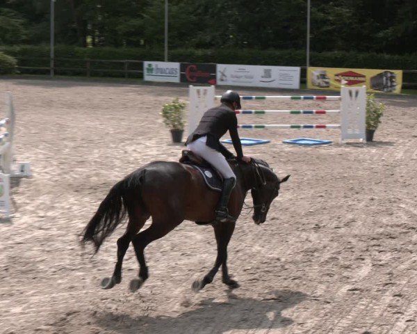 Reitturnier Klein Roscharden 2025