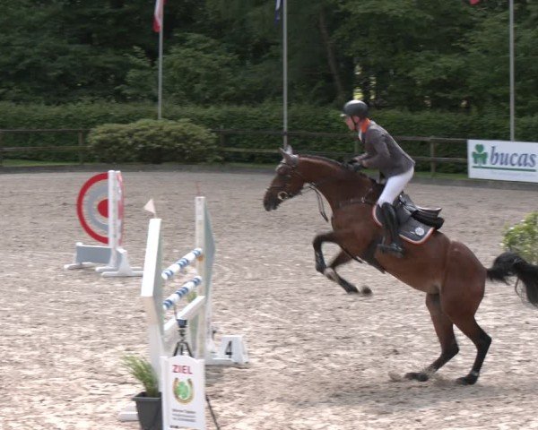 Reitturnier Klein Roscharden 2025