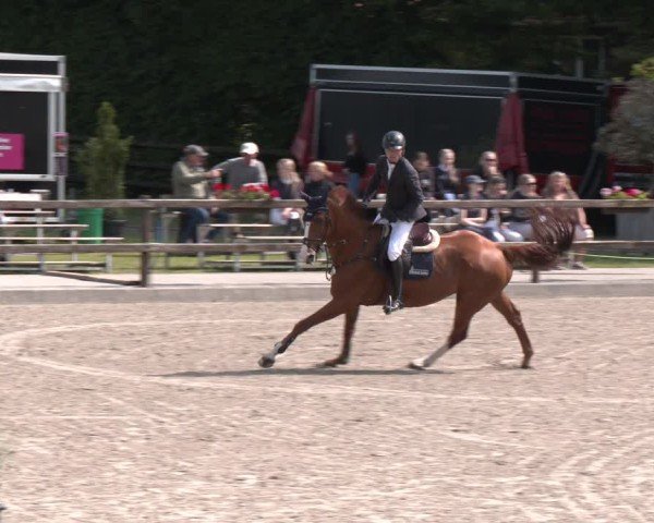 Reitturnier Klein Roscharden 2025