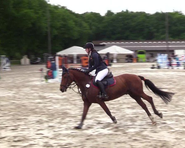 Reitturnier Kropp 2025